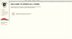 Desktop Screenshot of errer.com