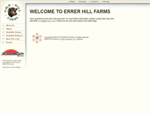 Tablet Screenshot of errer.com